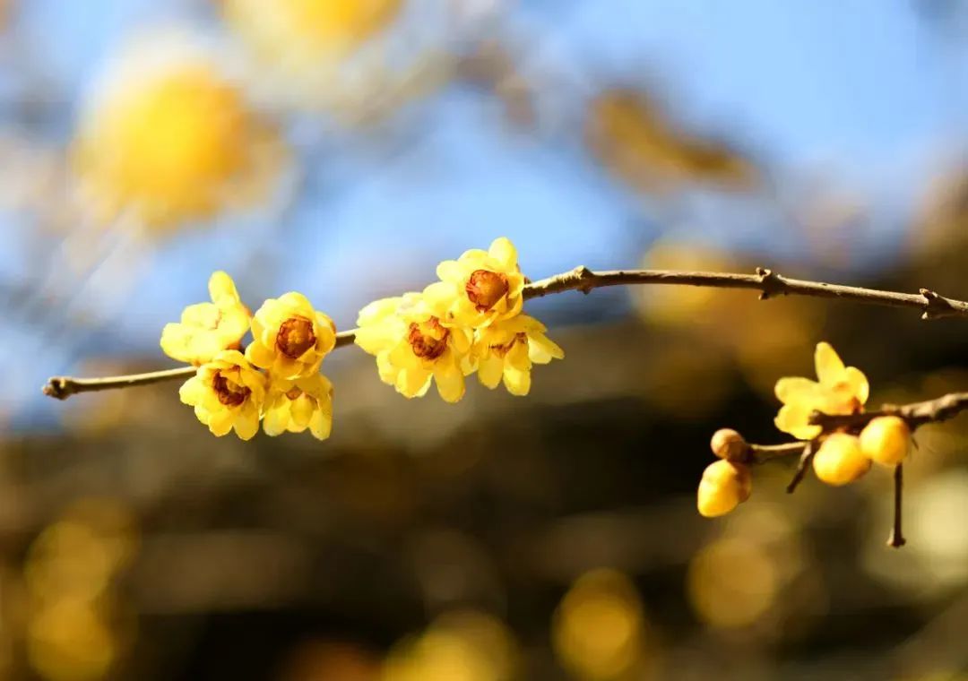 9dab36b74915167c61480001748b1c1d.jpg 图片