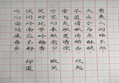 图示, 示意图
中度可信度描述已自动生成:ver1