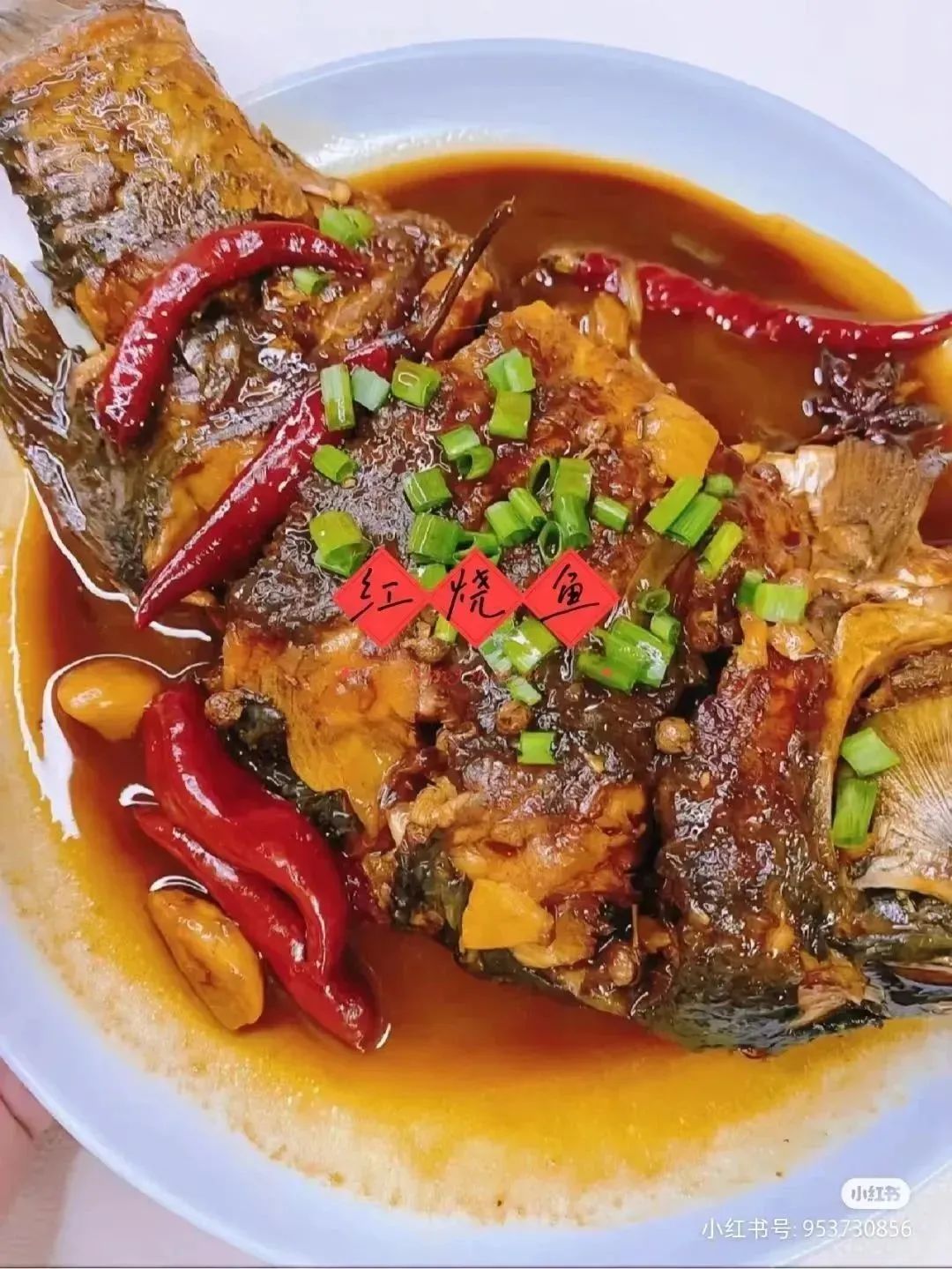 微信图片_20230119205140.jpg 图片